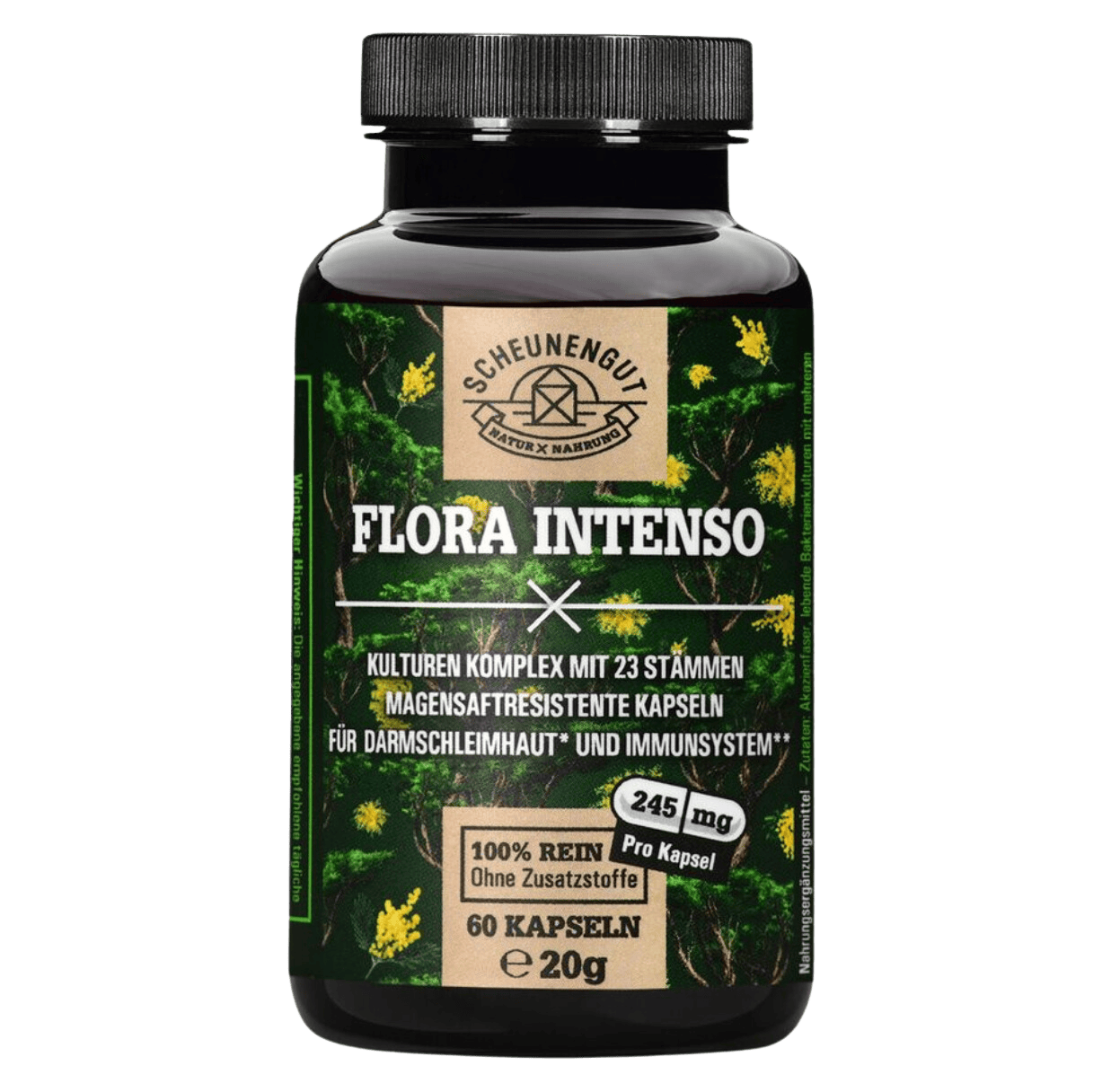 Floraintense Tp